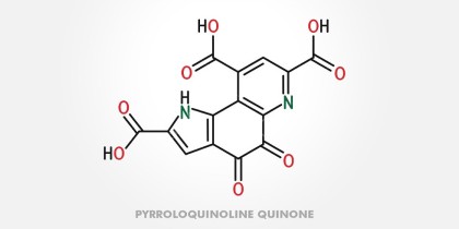 PQQ - kofaktor, który wpływa na zdrowie mitochondriów