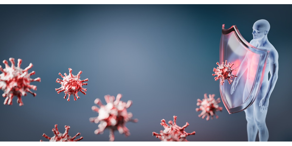 Czy suplementy mogą wspierać regenerację mikrobiomu po zatruciach pokarmowych?