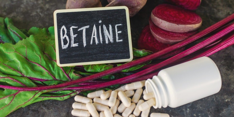 Betaina a homocysteina – jak betaina wspiera układ sercowo-naczyniowy?