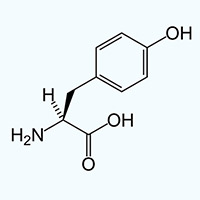 L-tyrozyna